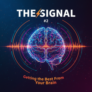 The Signal #2: Getting the Best From Your Brain
